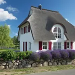 Schilfrohrsaenger 61