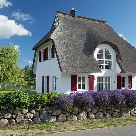 Schilfrohrsaenger 61