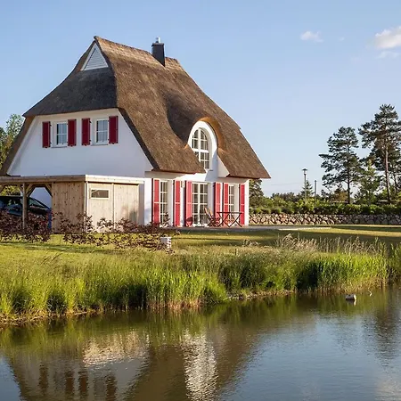 Schilfrohrsaenger 61 *