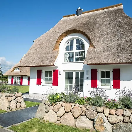 Schilfrohrsaenger 61