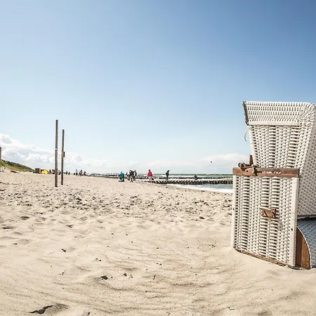 Schilfrohrsaenger 61 * Fuhlendorf (Mecklenburg-Vorpommern)