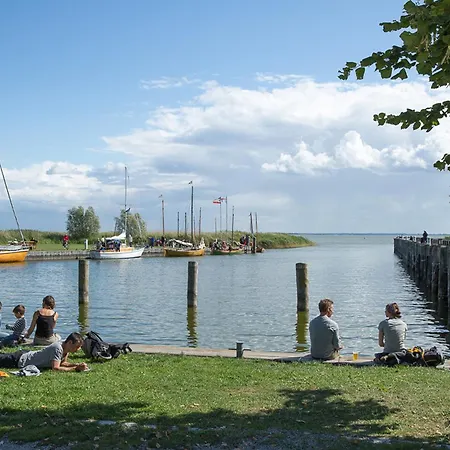 Schilfrohrsaenger 61