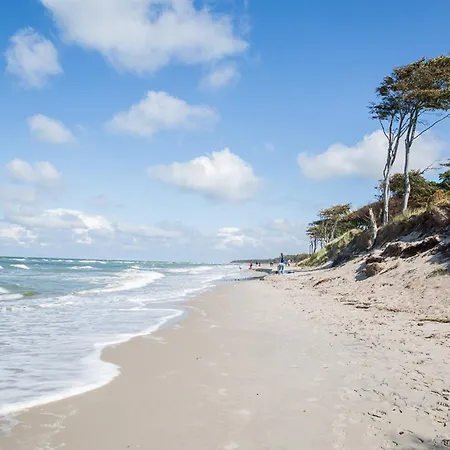 Schilfrohrsaenger 61 Casa de Férias