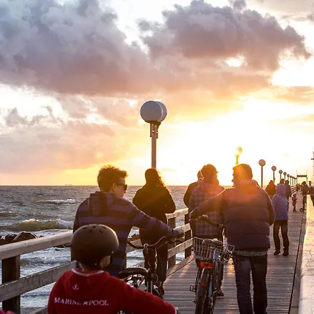 Schilfrohrsaenger 61 *