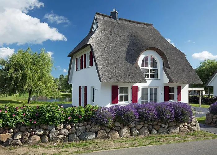 Schilfrohrsaenger 61
