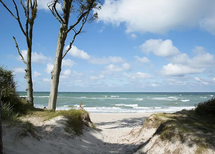 Schilfrohrsaenger 61 * Fuhlendorf (Mecklenburg-Vorpommern)
